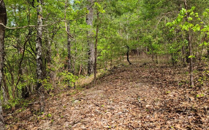 1409 Foxhound Trail  Ranger GA 30734 photo