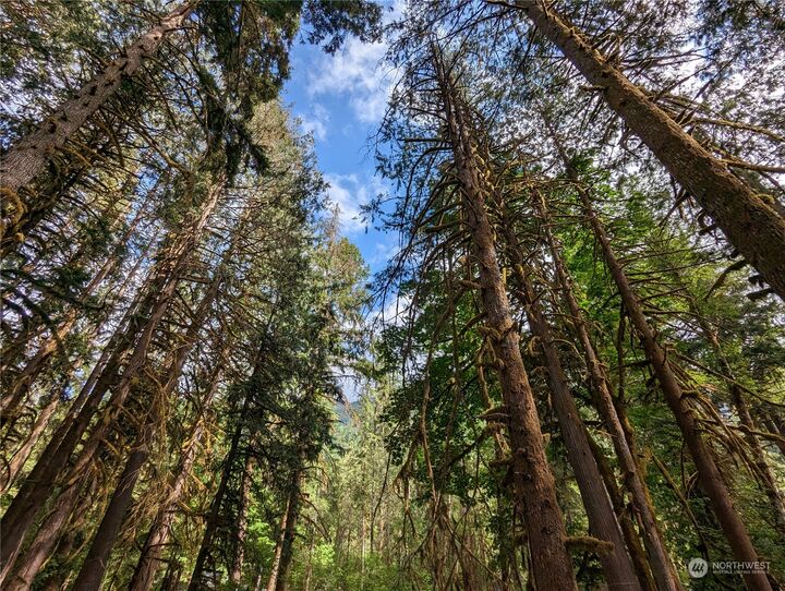 Property Photo: 63687 W Cascade Drive WA 98267