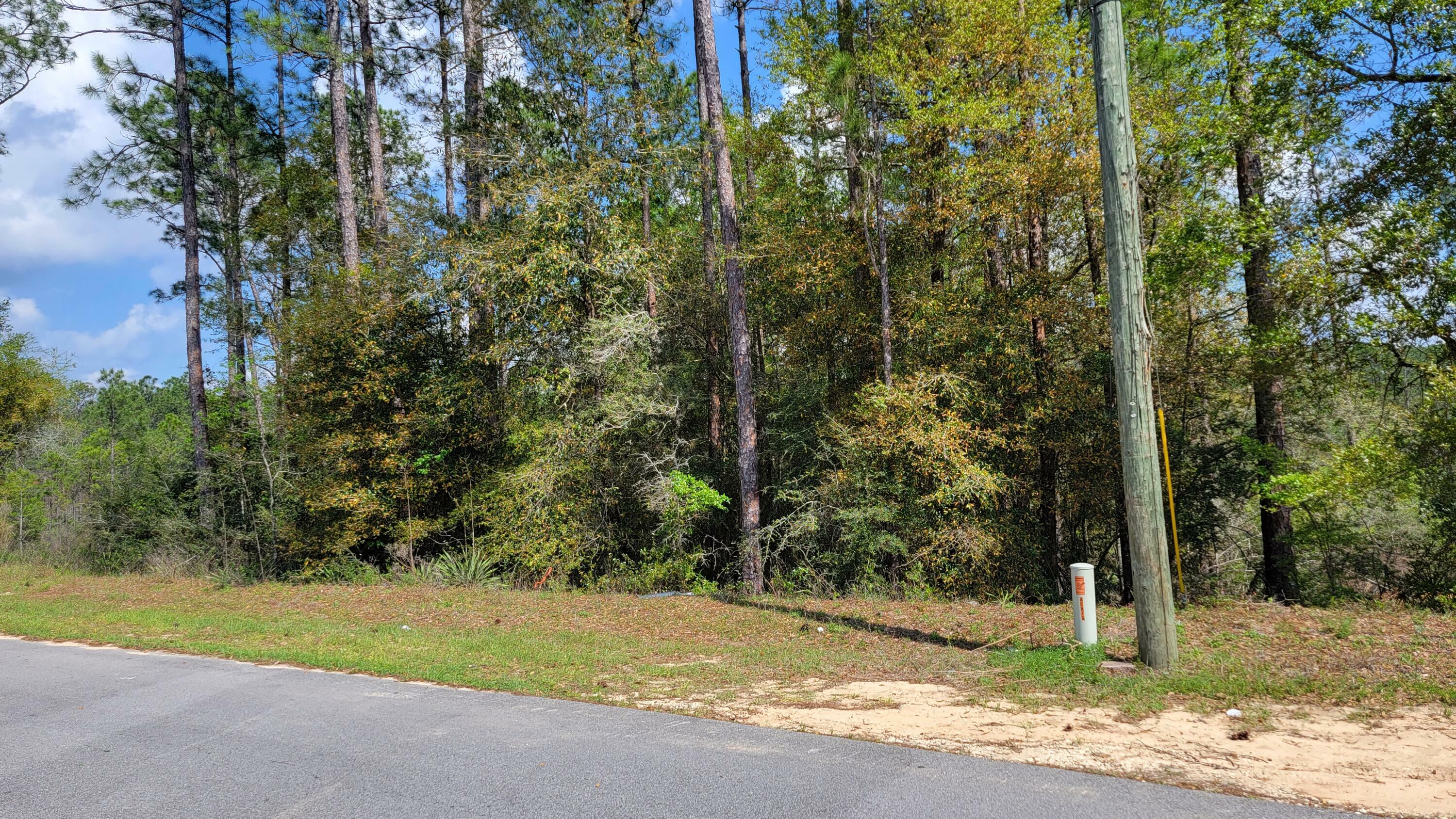 Property Photo:  Lot2,Blk13 Eagle Way  FL 32539 