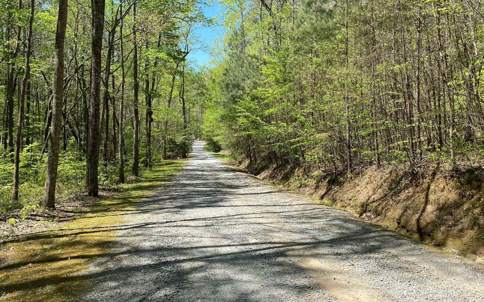 Property Photo: Lot 9 Heatherwood Way GA 30175