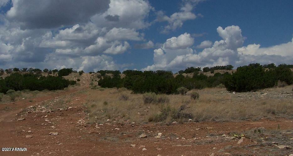 Property Photo:  Lot 457 Chevelon Canyon Ranch --  AZ 85928 