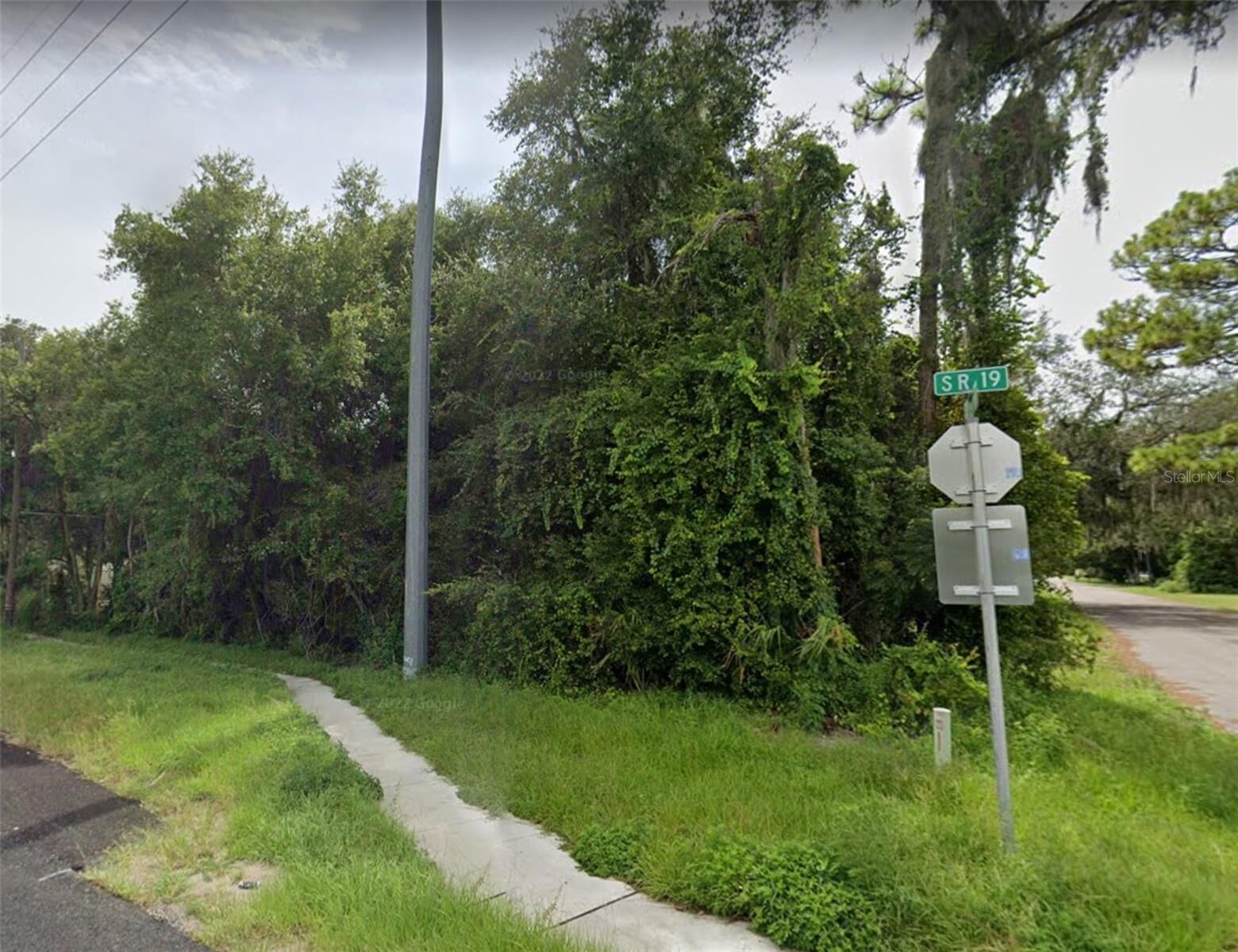 Property Photo: 16220 Lenord Street FL 32784