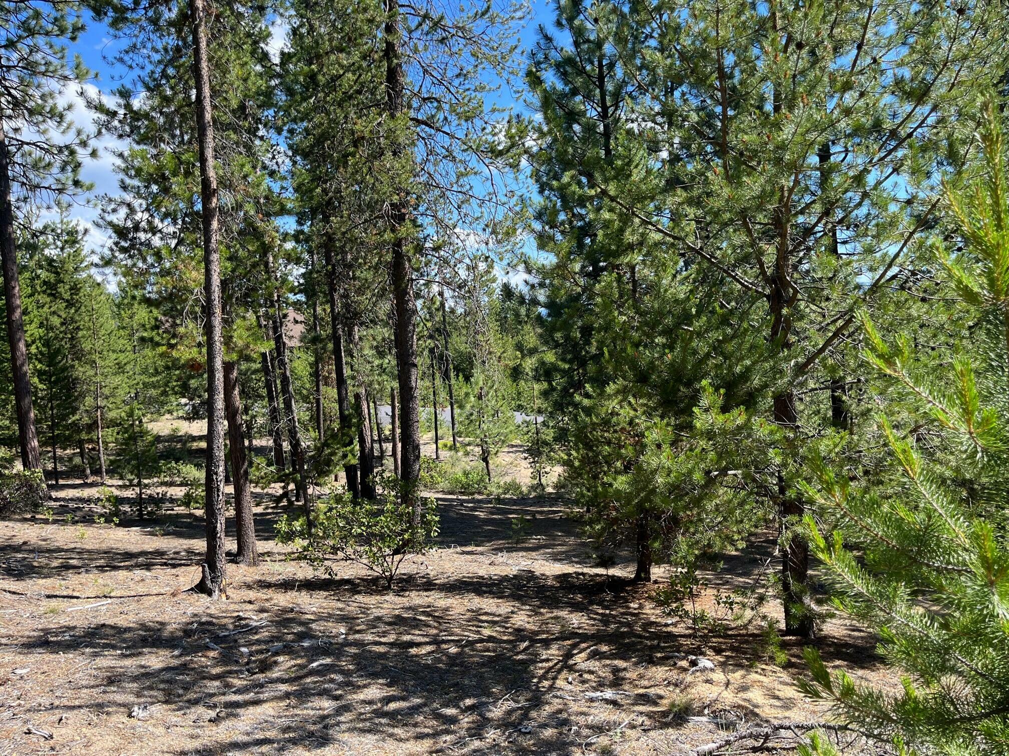 Property Photo:  Lot 1 Emerald Meadows Way  OR 97733 
