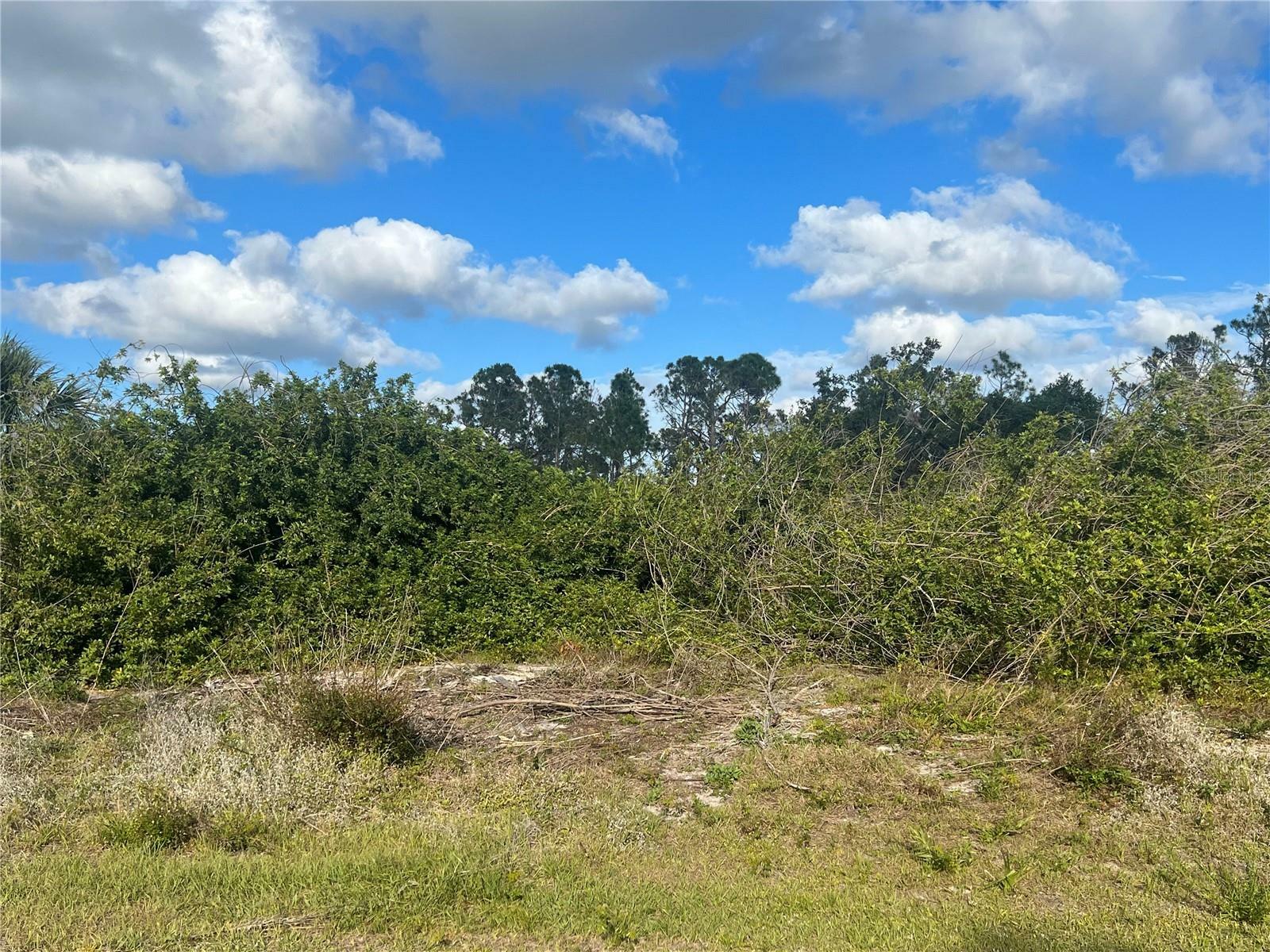Property Photo:  Alseir Road  FL 34288 