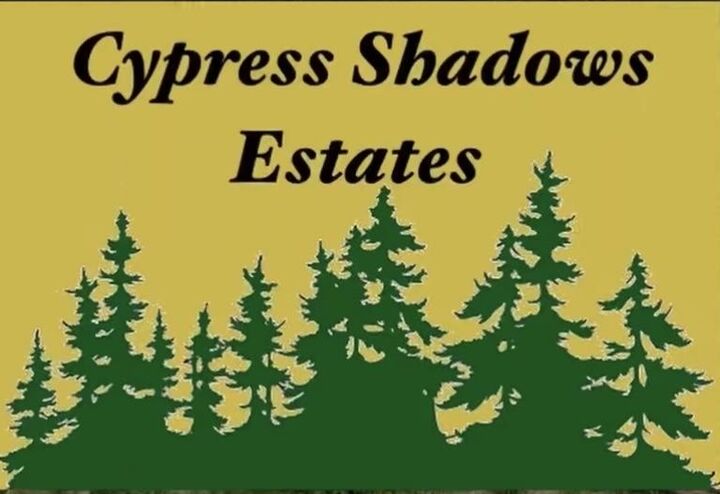 2655 Cypress Shadows Lane  Orange TX 77632 photo