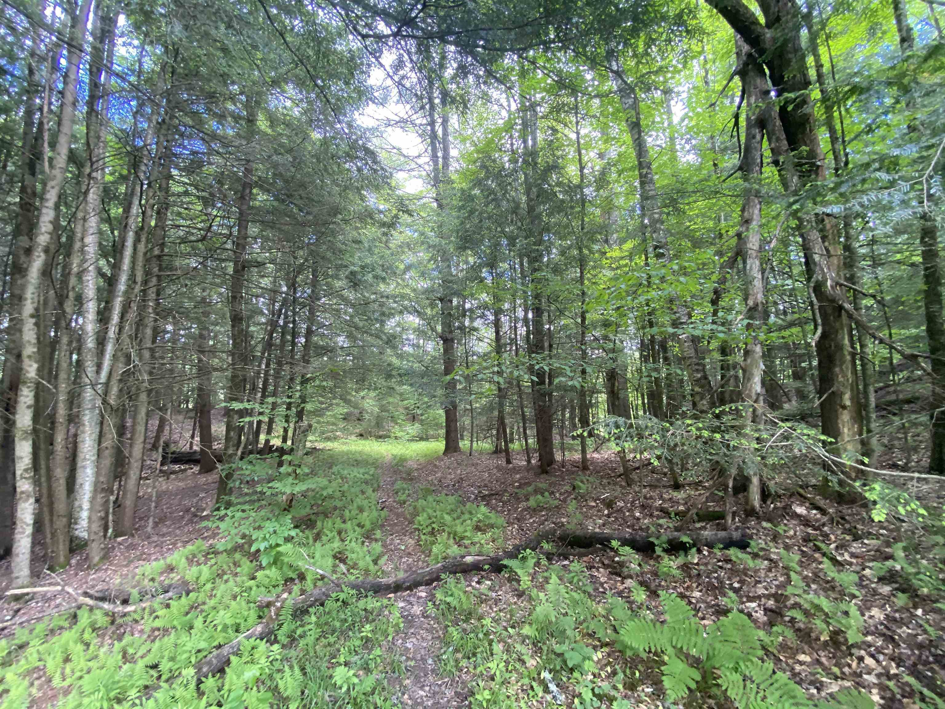 Property Photo: 47 East Countryside Road VT 05676