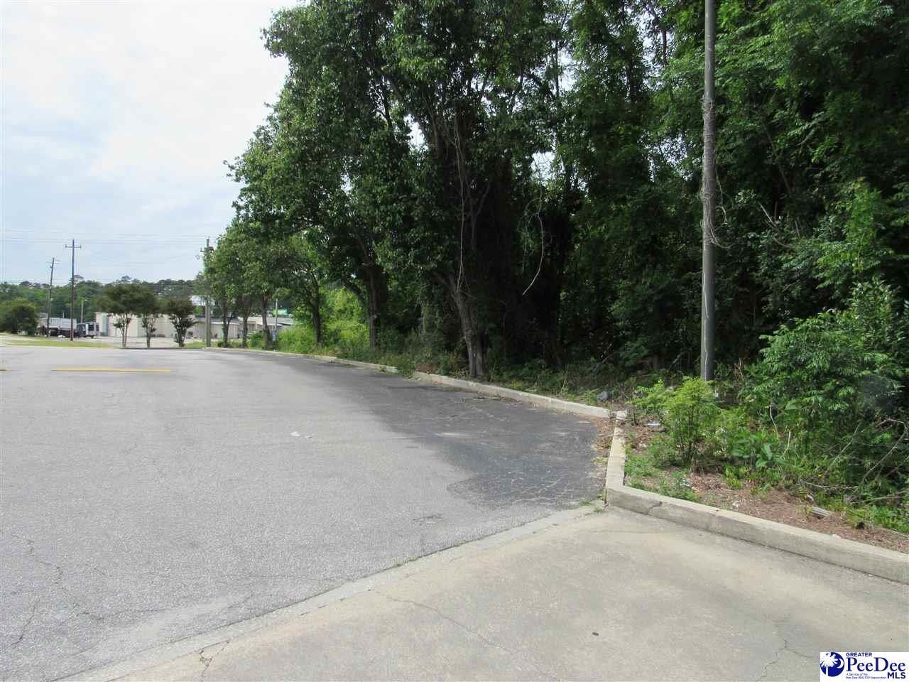 Property Photo:  S Meadows Farm Road  SC 29501 