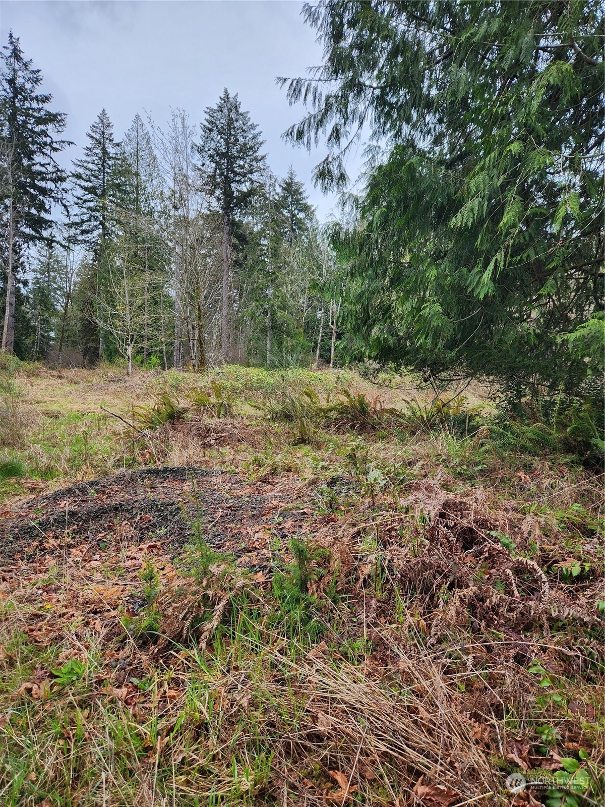 Property Photo:  90 SE Cannery Point Drive  WA 98584 