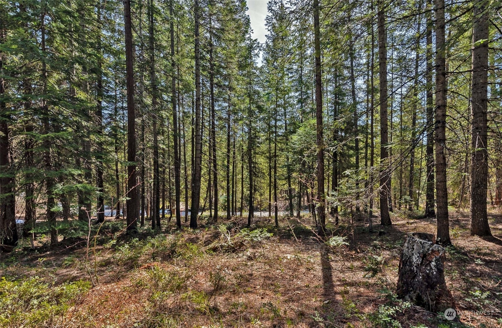 Property Photo:  0 Kinnikinnick Drive  WA 98826 