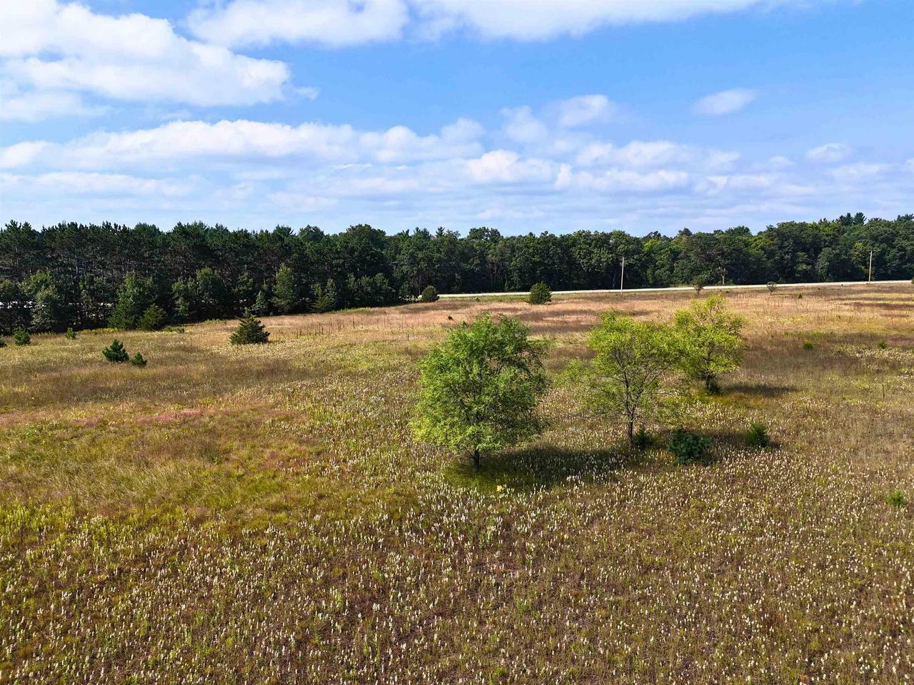 Property Photo:  20.23 Acres Highway 13  WI 53965 