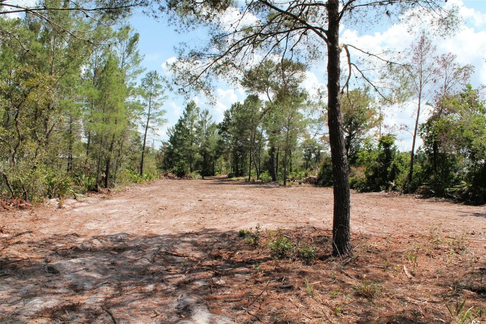 Property Photo: Camp Mack Road FL 33898