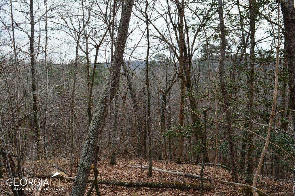 Property Photo:  0 Willow Springs Road  GA 30132 