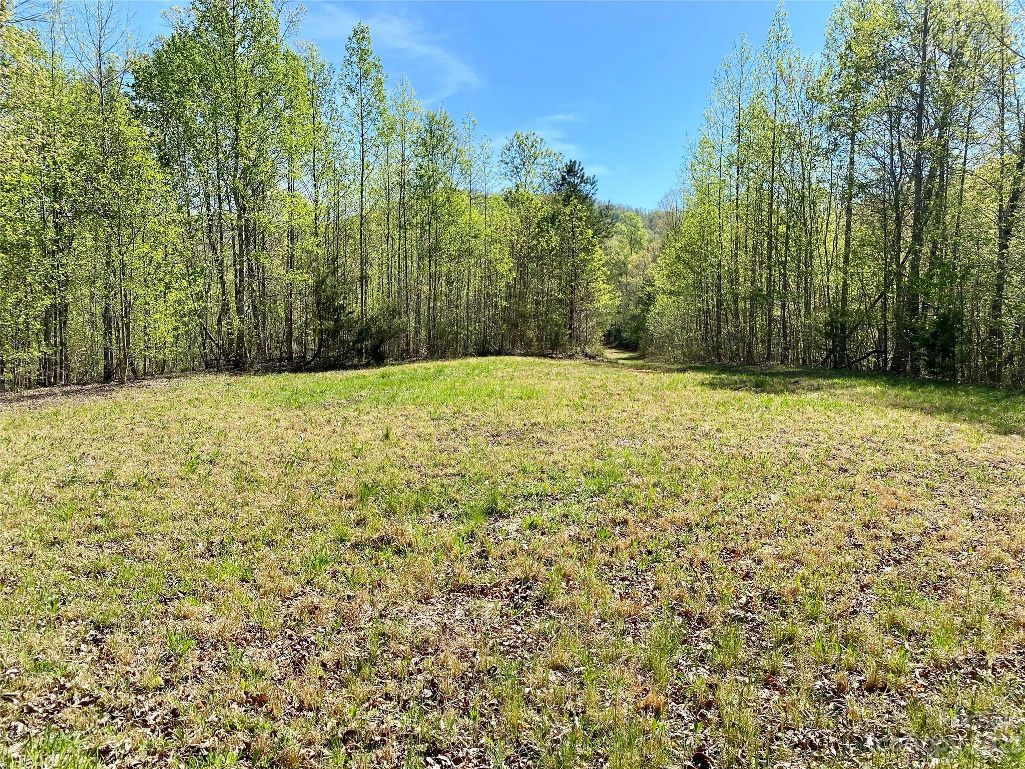 Property Photo:  000 226 Highway  NC 28167 