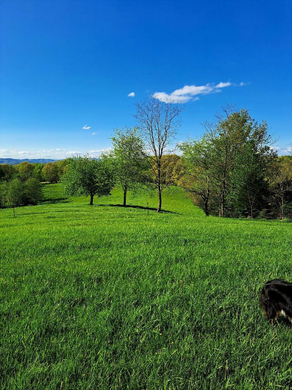 Property Photo:  5076 Pine Grove Rd  WV 24945 