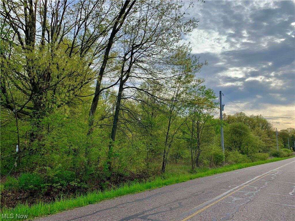 Property Photo:  Berlin Station Road  OH 44401 