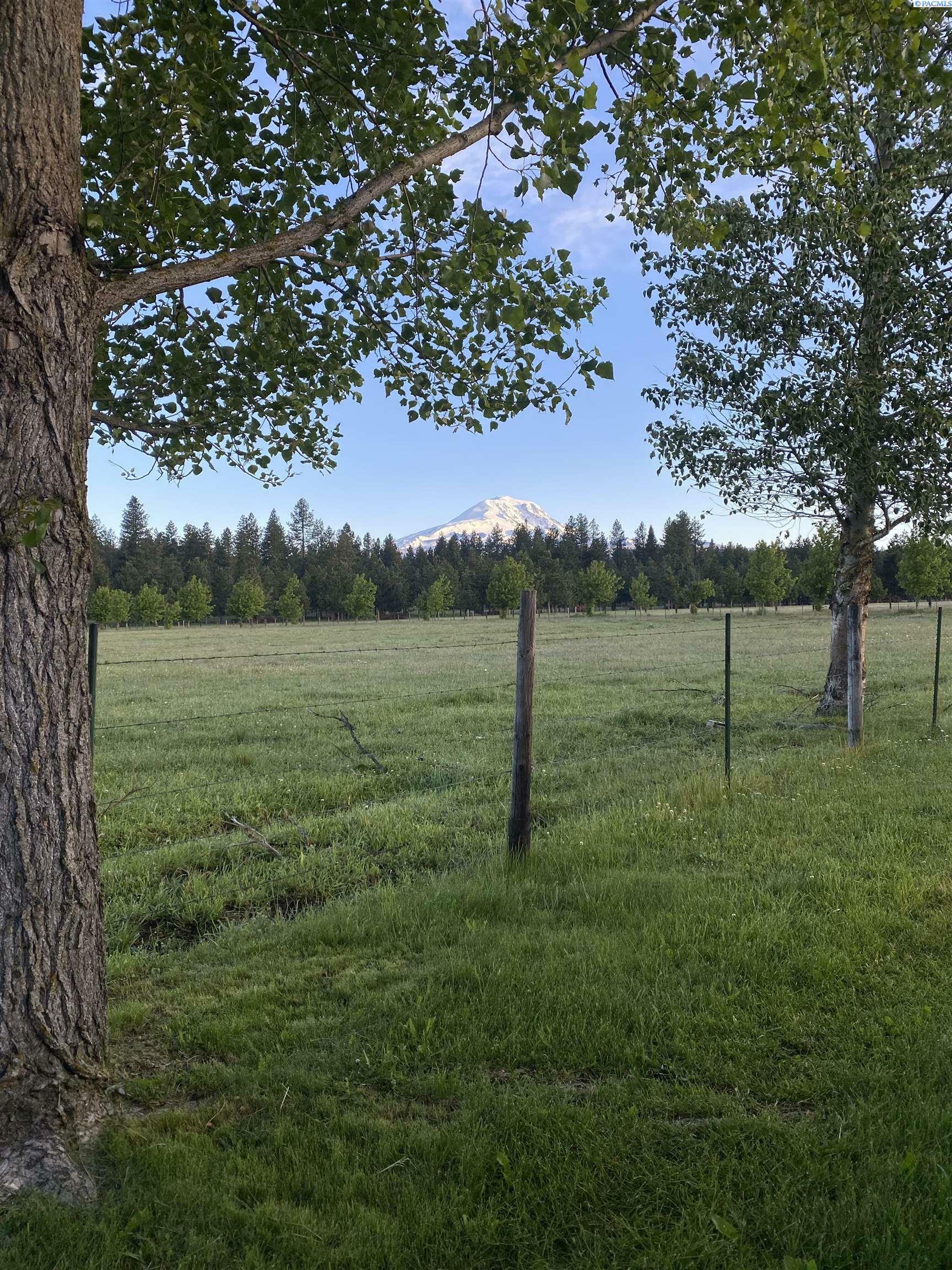 Property Photo:  12 Trout Lake Hwy  WA 98619 