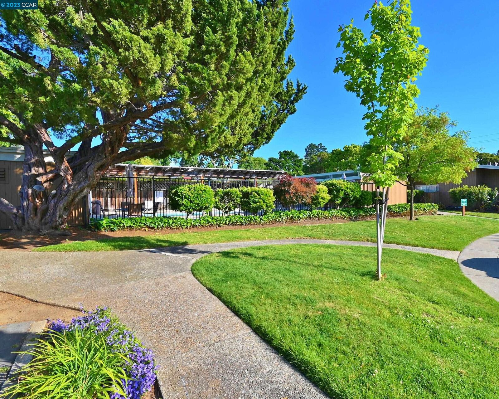 Property Photo:  1919 Ygnacio Valley Road 87  CA 94598 