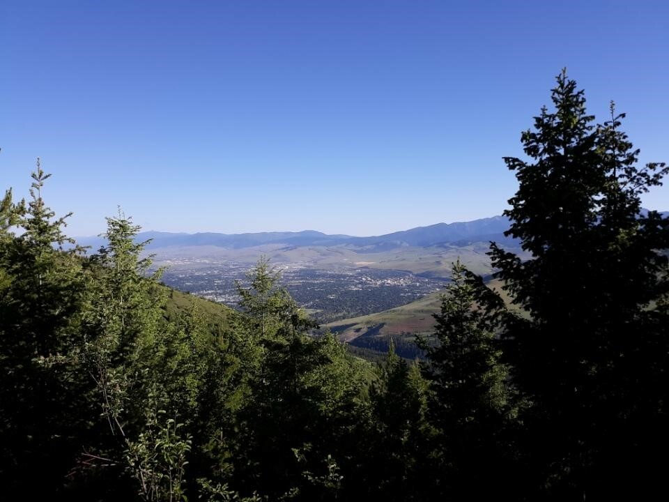 Property Photo: Nhn-Tract 1 Larch Camp Road MT 59803