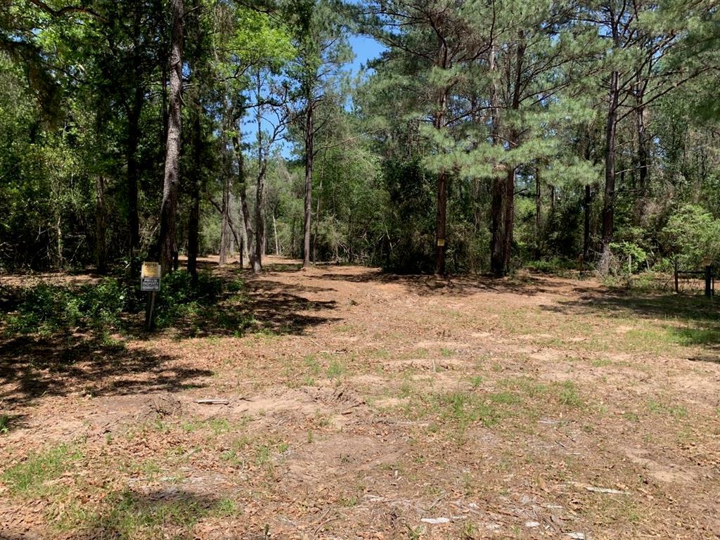 Property Photo:  0 Old Courtney Road  TX 77484 