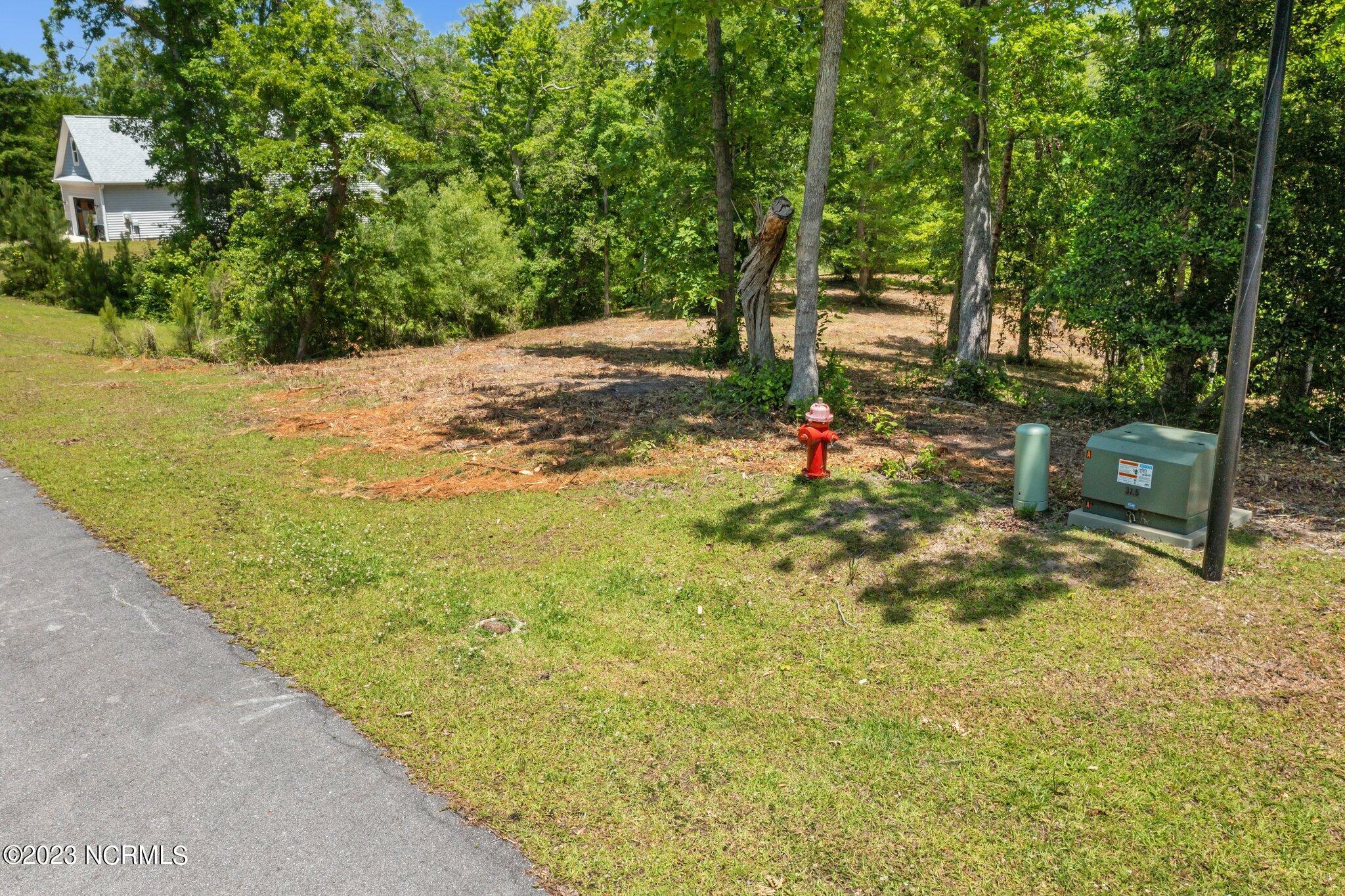 Property Photo:  Lot 10 Tree Hill Lane  NC 28539 