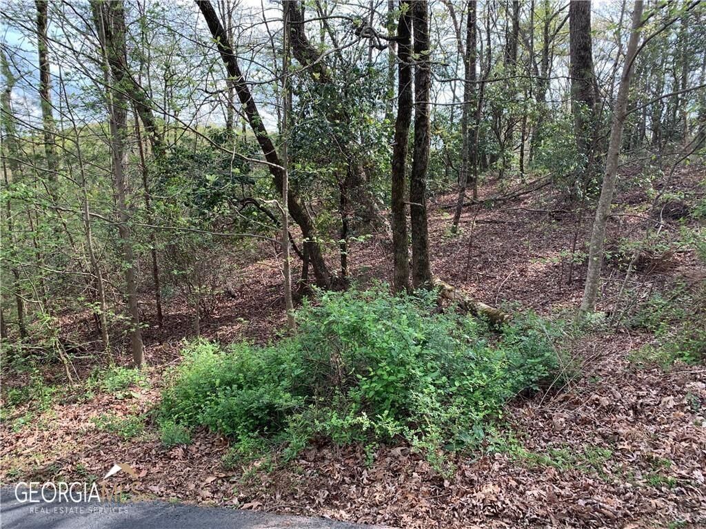 Property Photo:  Lot094 Prospect Trail  GA 30528 