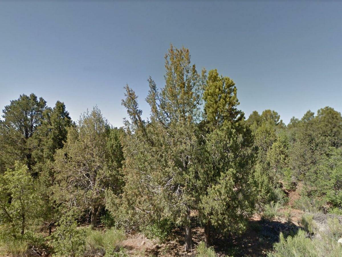 Property Photo:  Zion Hunting Est Blk 2 Lot 38  UT 84762 