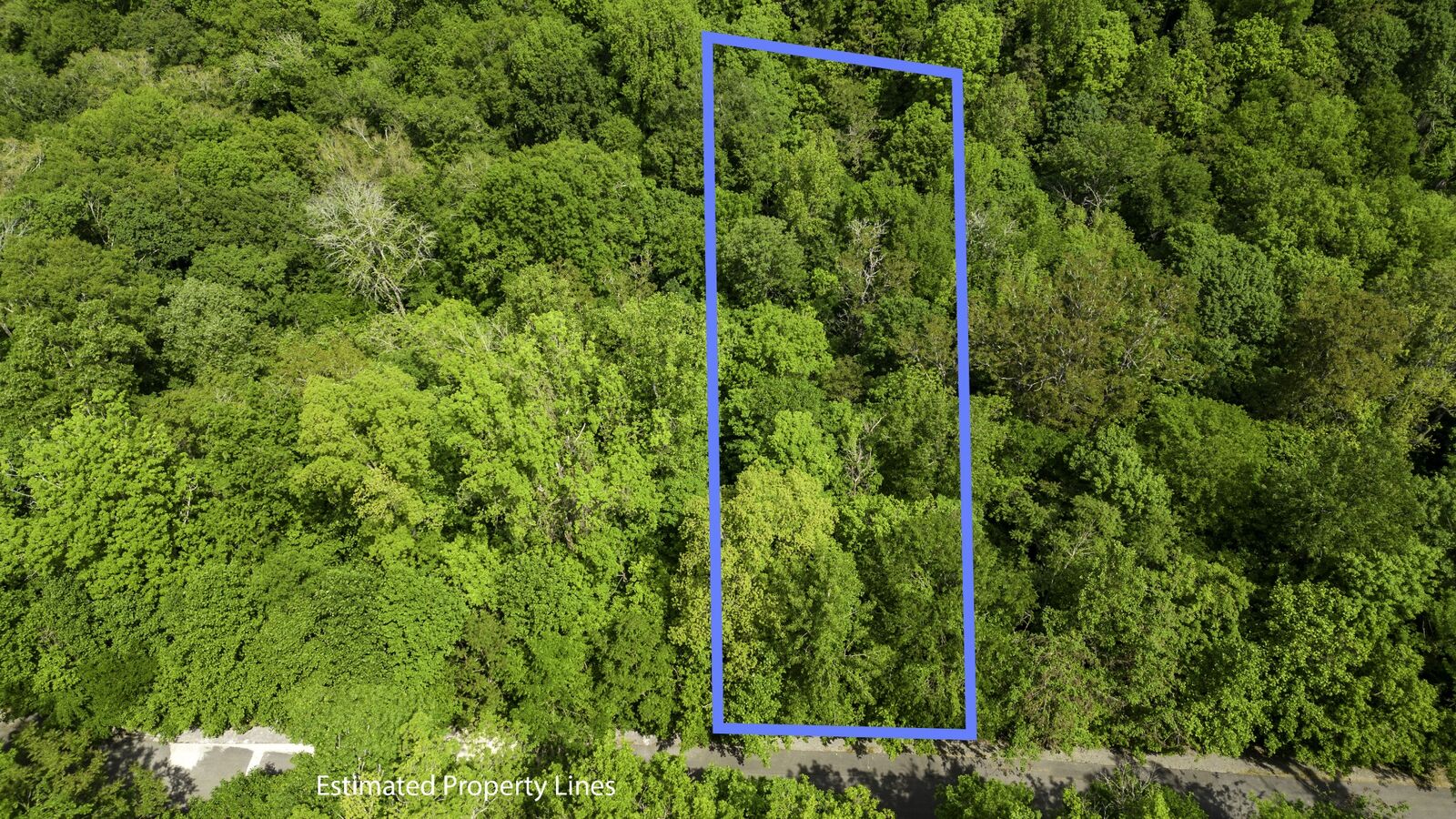 Property Photo: 0 Lake View Drive TN 37166