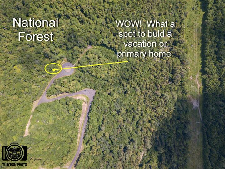 Property Photo: 20 Waterthorn Road 20 NH 03185