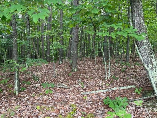 Property Photo: 3715 Big Creek Road NC 28655