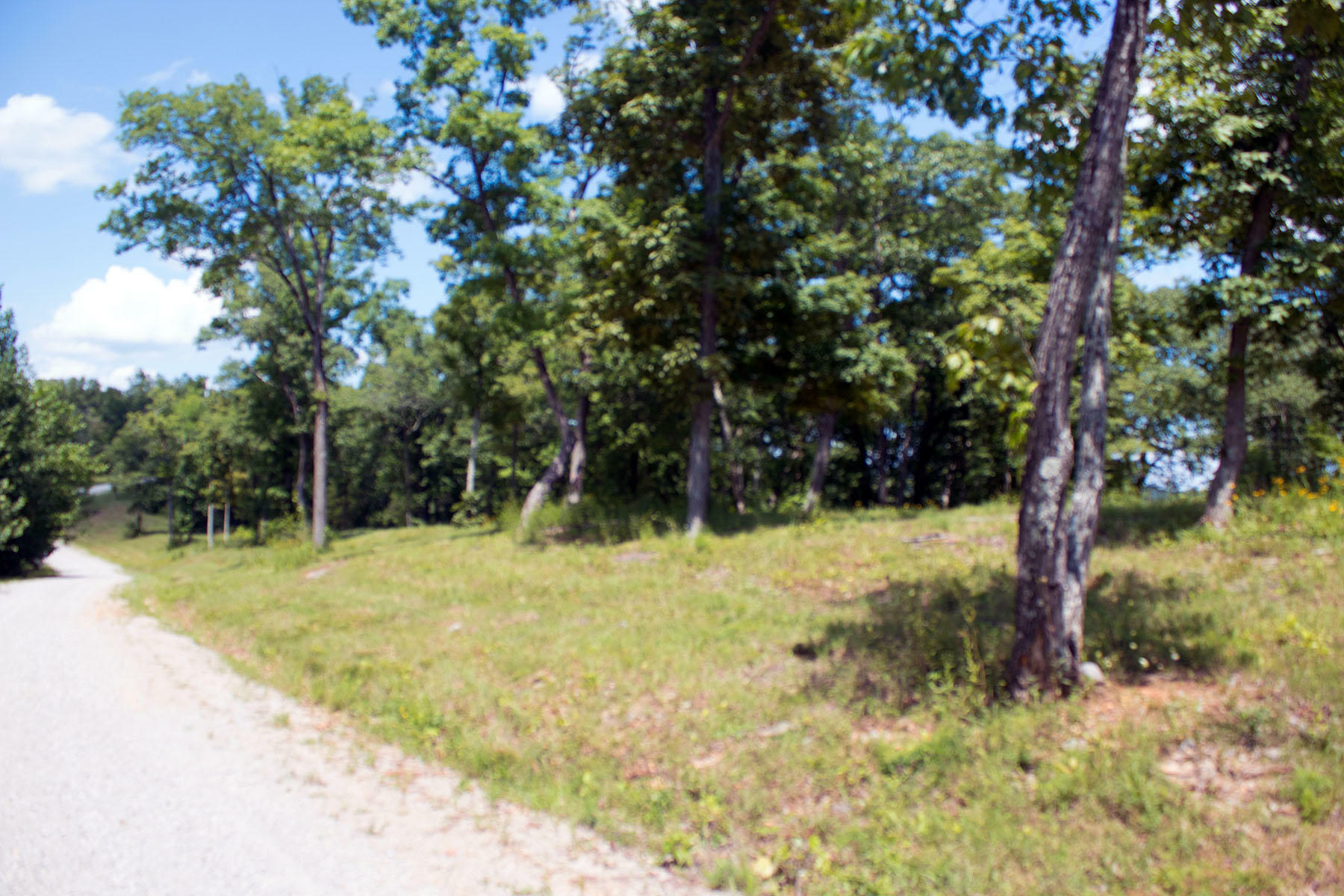 Property Photo:  Lot 59 Cumberland Shores  KY 42633 