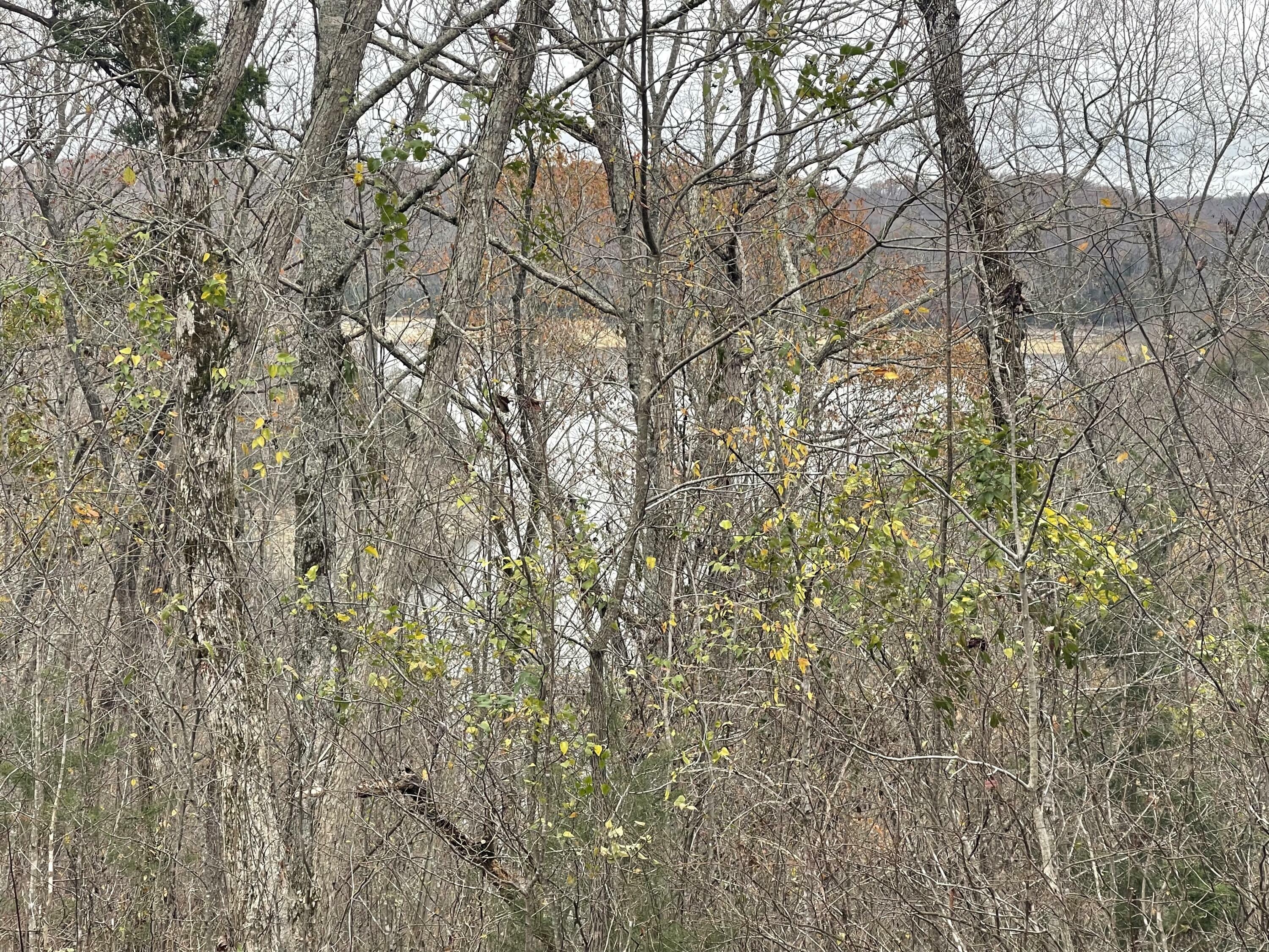 Property Photo: Lot 59 Cumberland Shores KY 42633