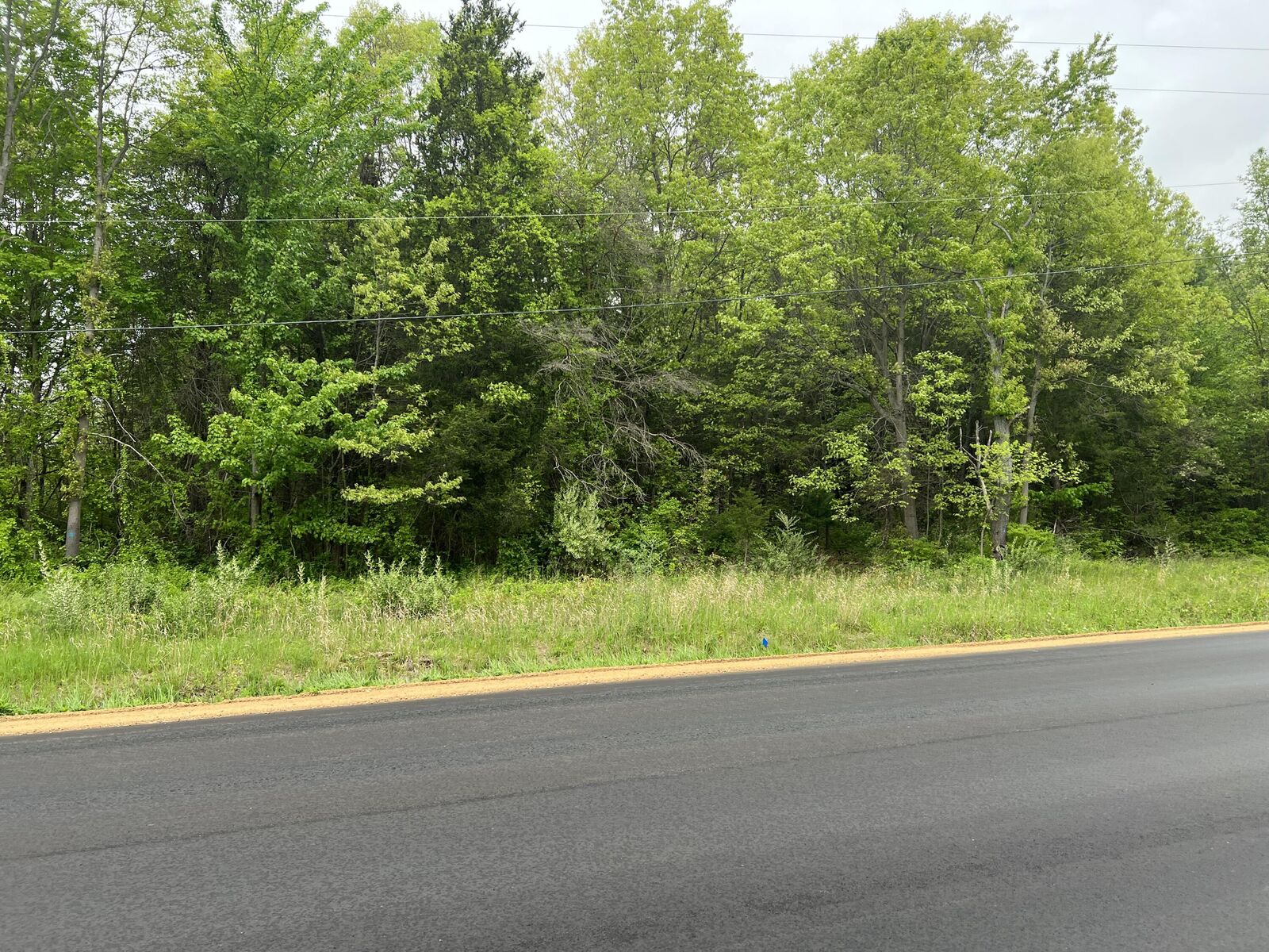 Property Photo:  V/L Old Allegan Road  MI 49453 