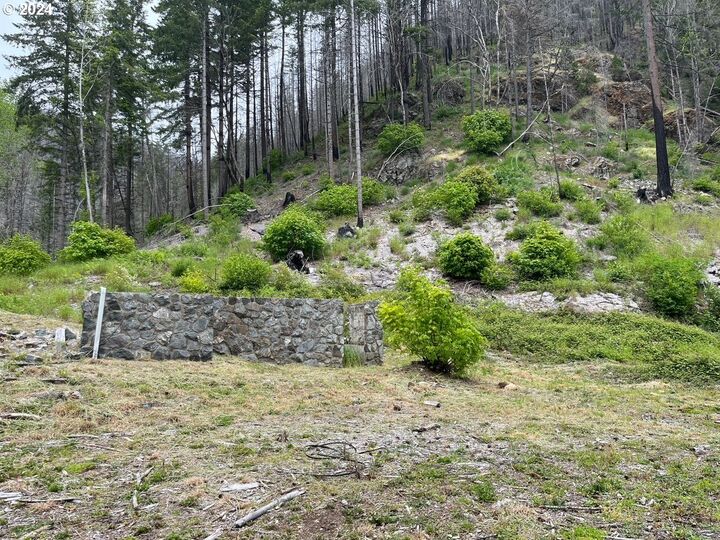 Property Photo:  47983 McKenzie Hwy  OR 97488 