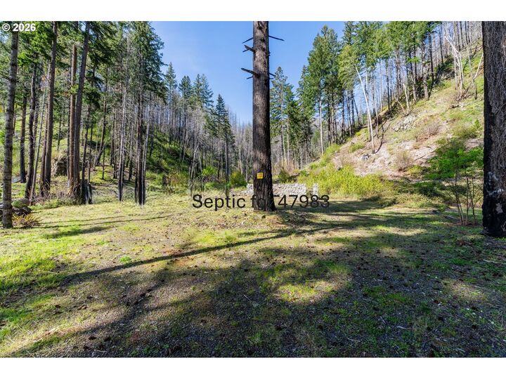 Property Photo:  47983 McKenzie Hwy  OR 97488 