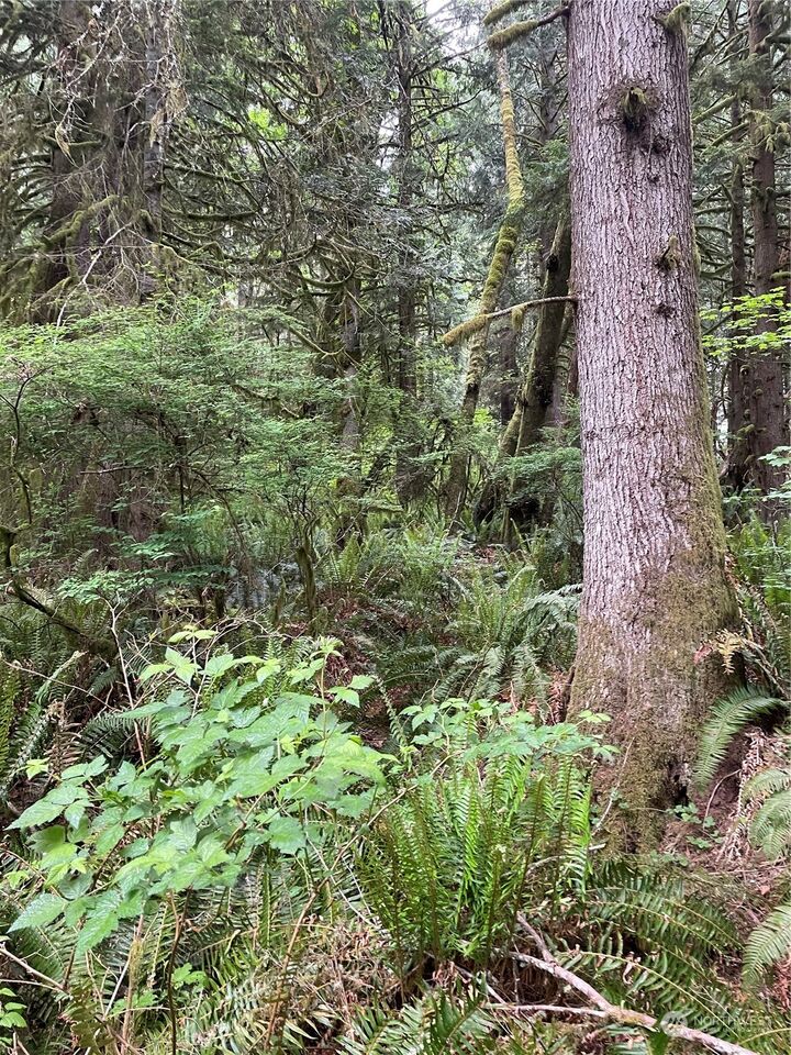 Property Photo: 251 Lot 007 Woods Creek Road WA 98290