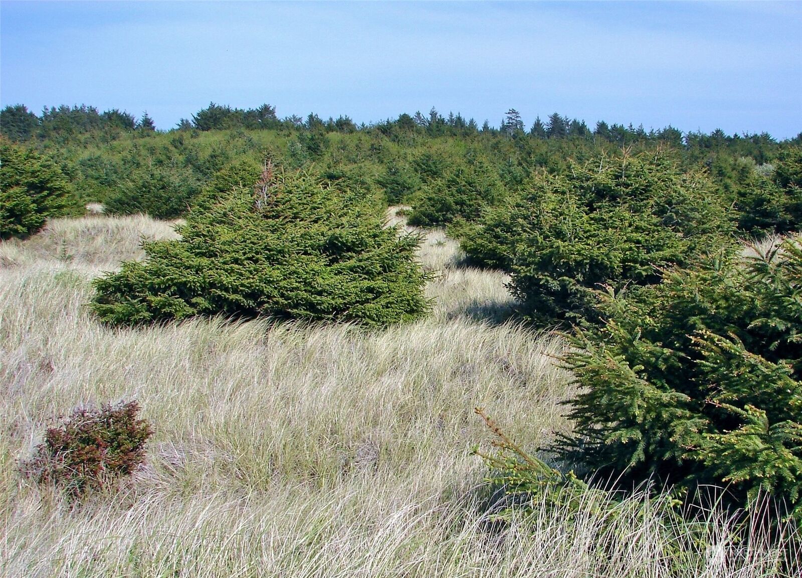 Property Photo: 0 Lot 1 State Route 109 WA 98535