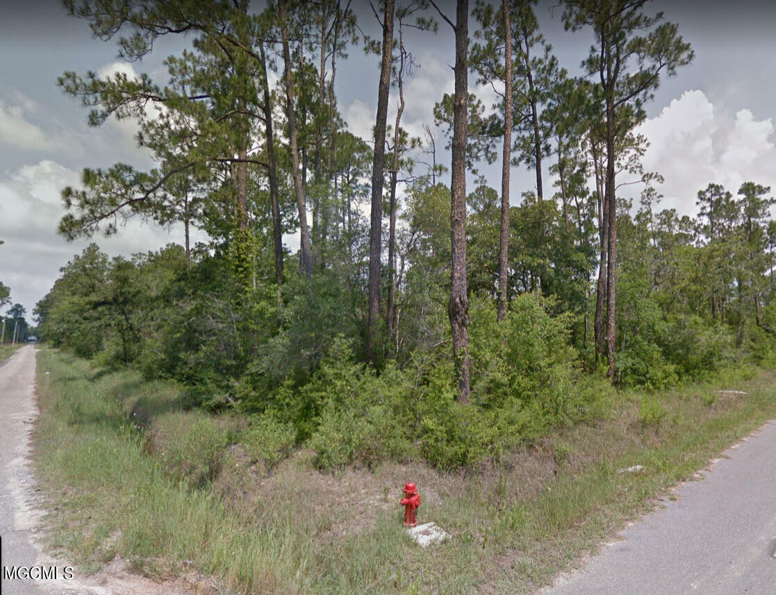 Property Photo:  Lot 61-64 Apricot Street  MS 39520 