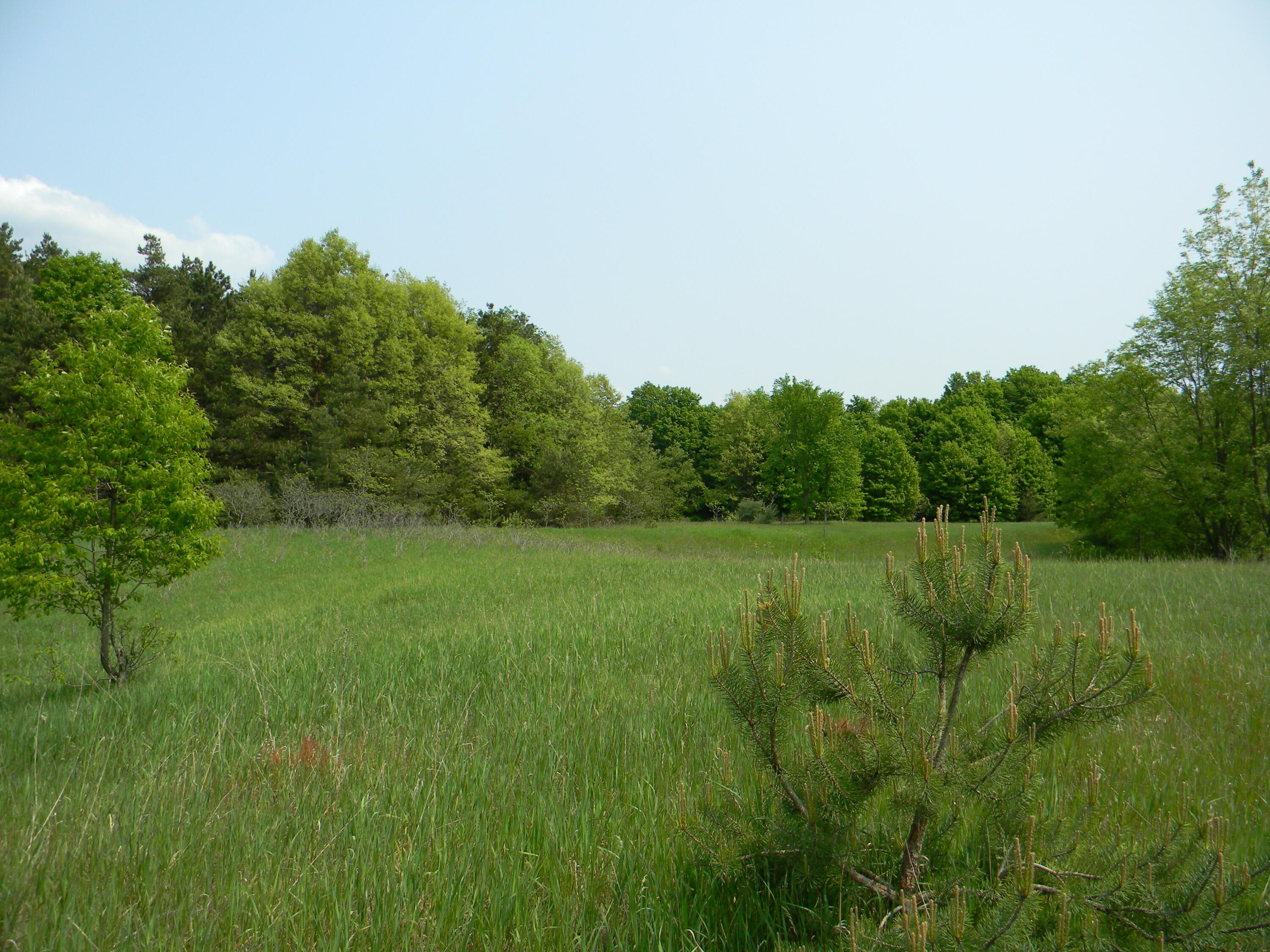 Property Photo: 4425 W Buchanan Road MI 49455