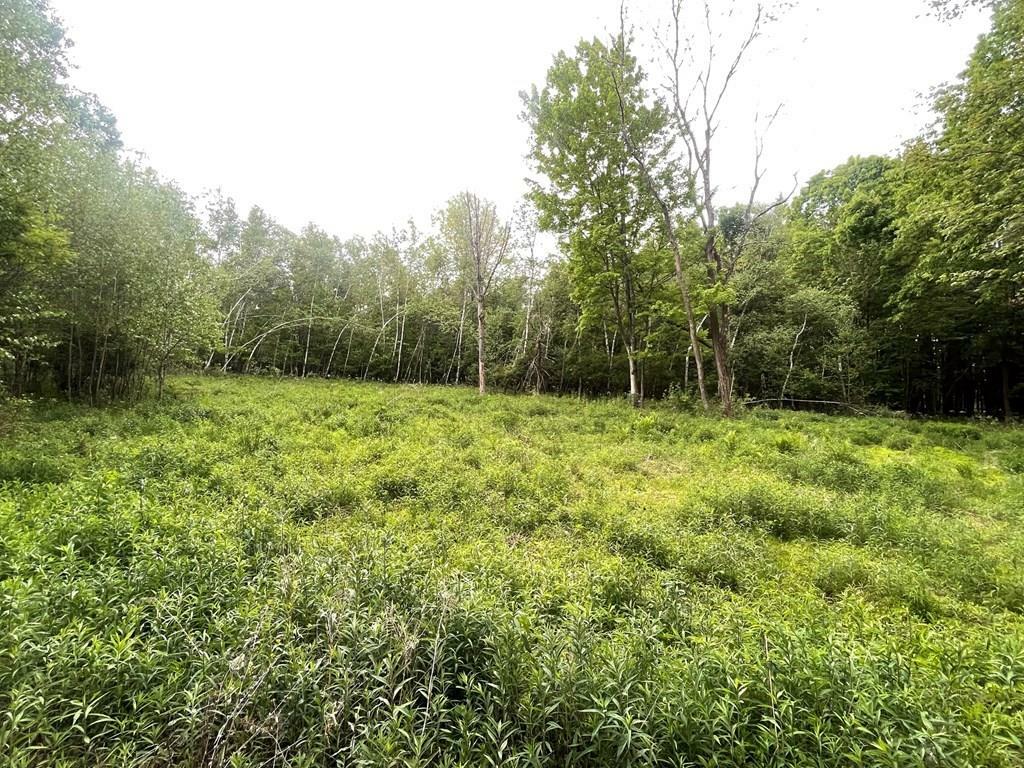 Property Photo:  Lot 3 Kerrick Hill Rd  PA 18848 