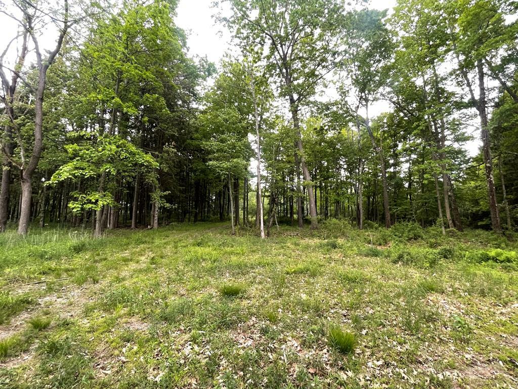 Property Photo:  Lot 2 Kerrick Hill Rd  PA 18848 