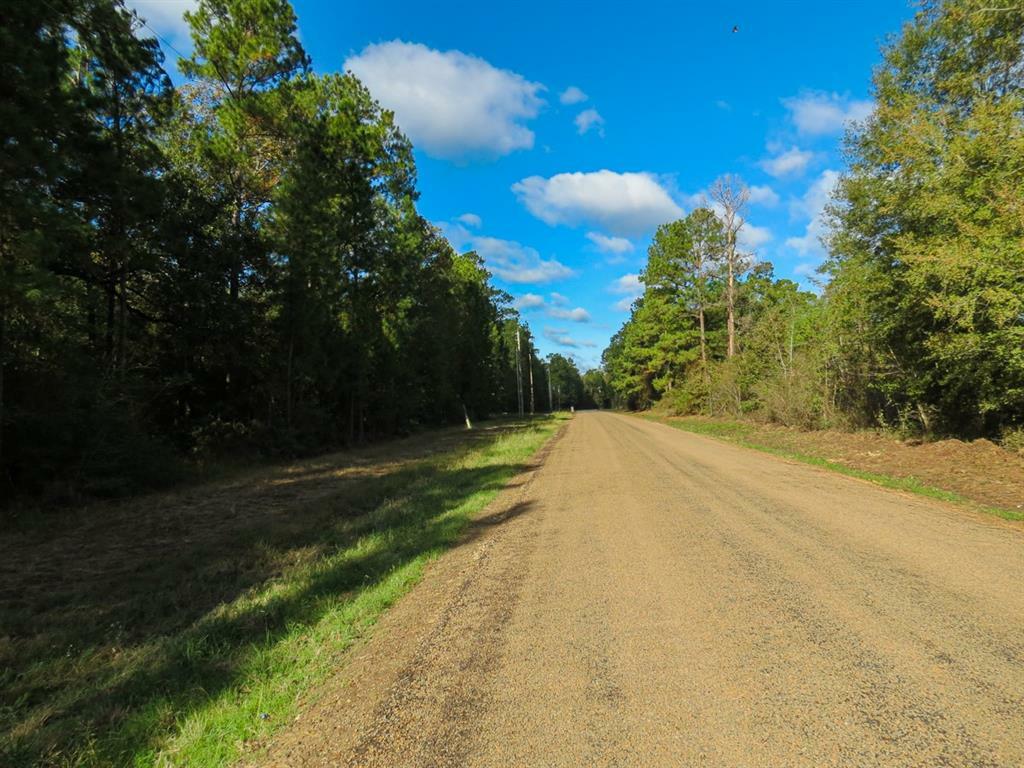 Property Photo:  0 Wobbly Bobbly Tram Road  TX 77351 