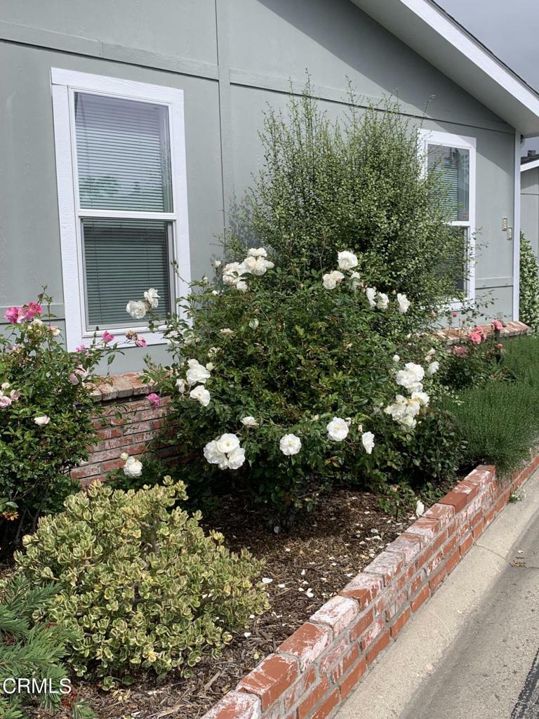 Property Photo: 1215 Anchors Way Drive 86 CA 93001