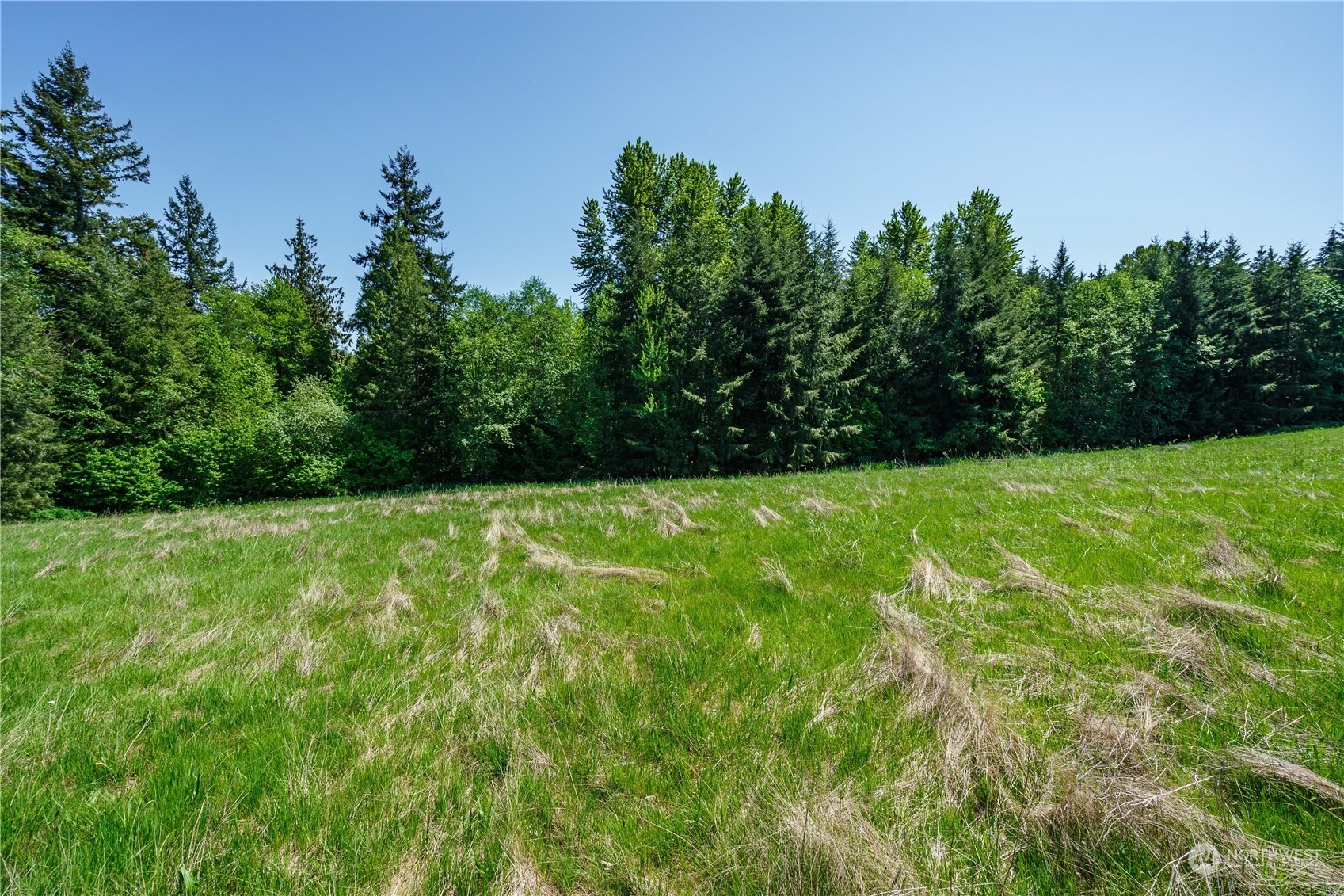 Property Photo:  0 Lot 4 Carnine Road  WA 98611 