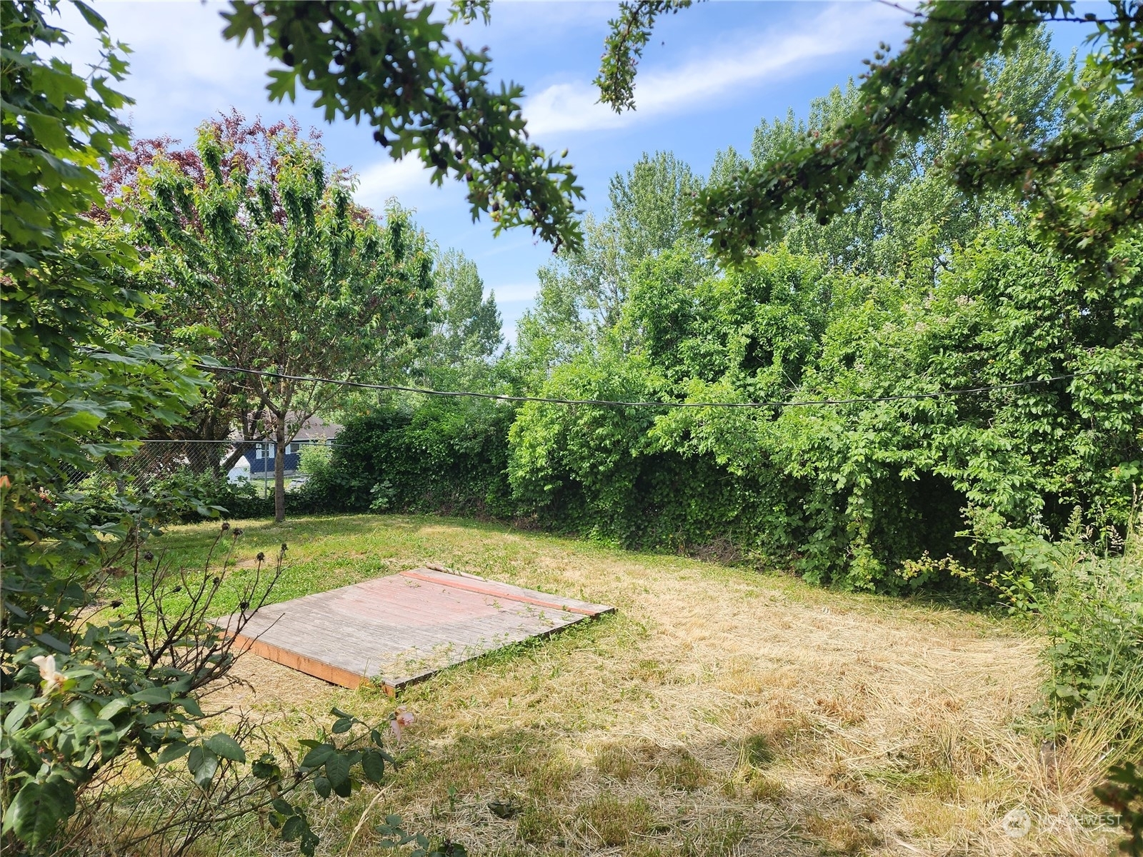 Property Photo: 615 Clark Avenue N WA 98030