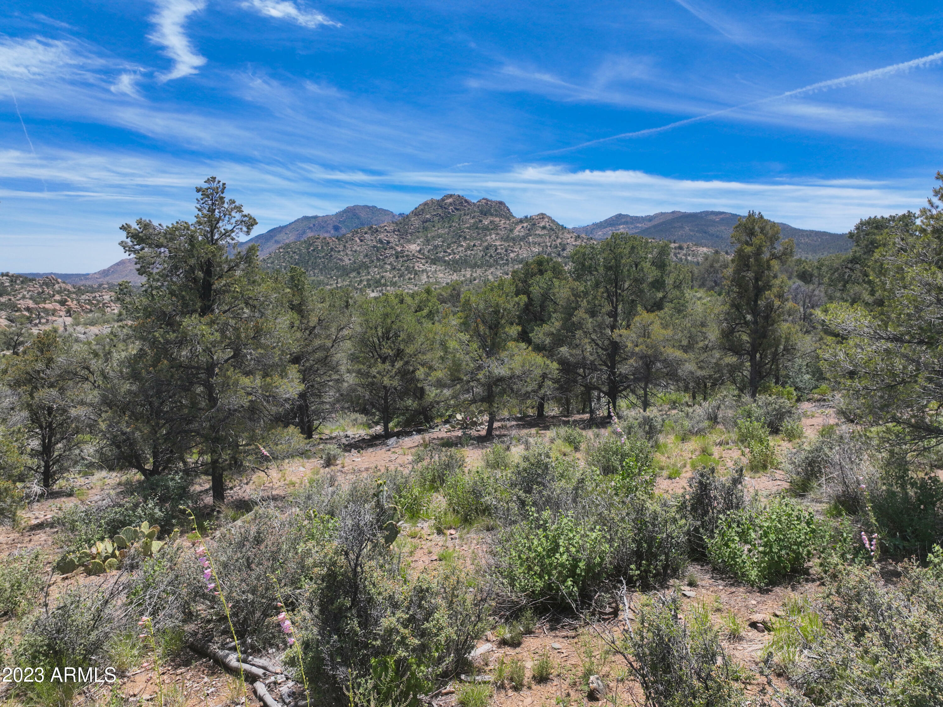 Property Photo:  00B General Pass -- B  AZ 86305 