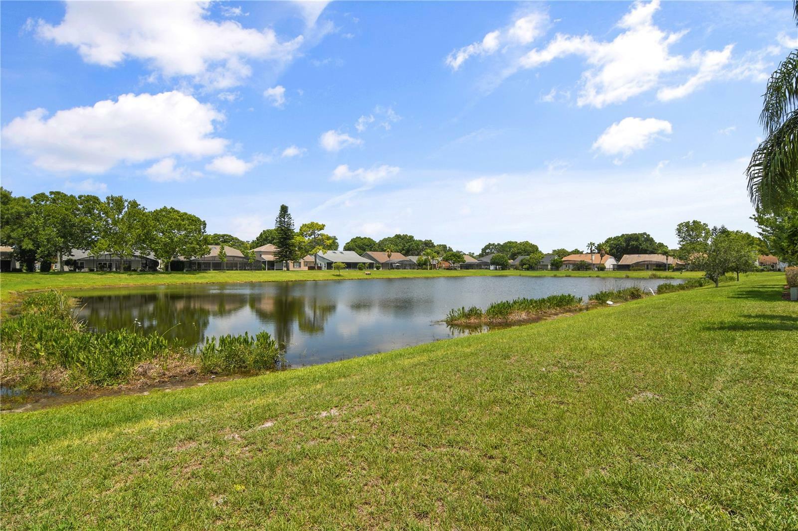 Property Photo:  12787 Forestedge Circle  FL 32828 