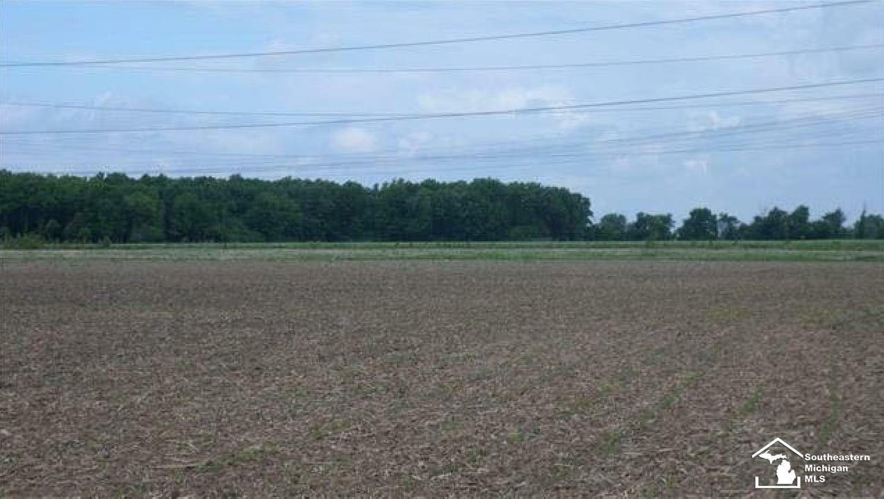 Property Photo:  Williams Road  MI 48166 