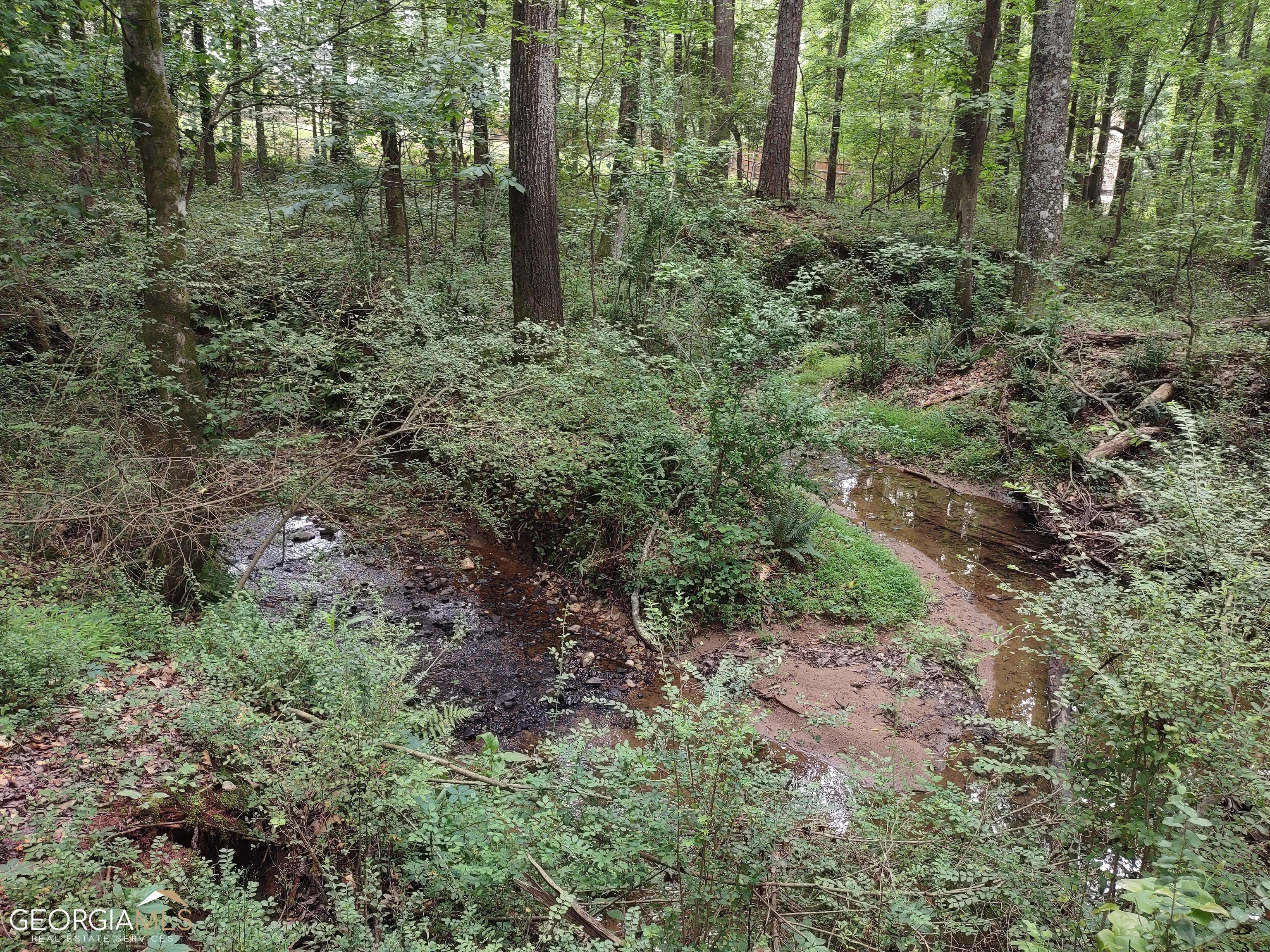 Property Photo:  Lot 2 Coatsworth Drive  GA 30281 