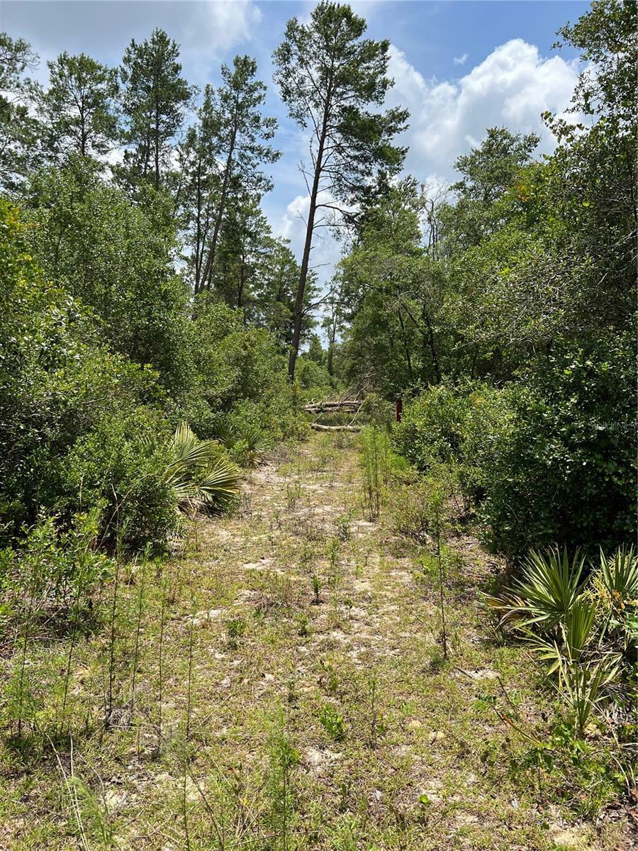 Property Photo:  0 NE 160 Avenue  FL 32134 