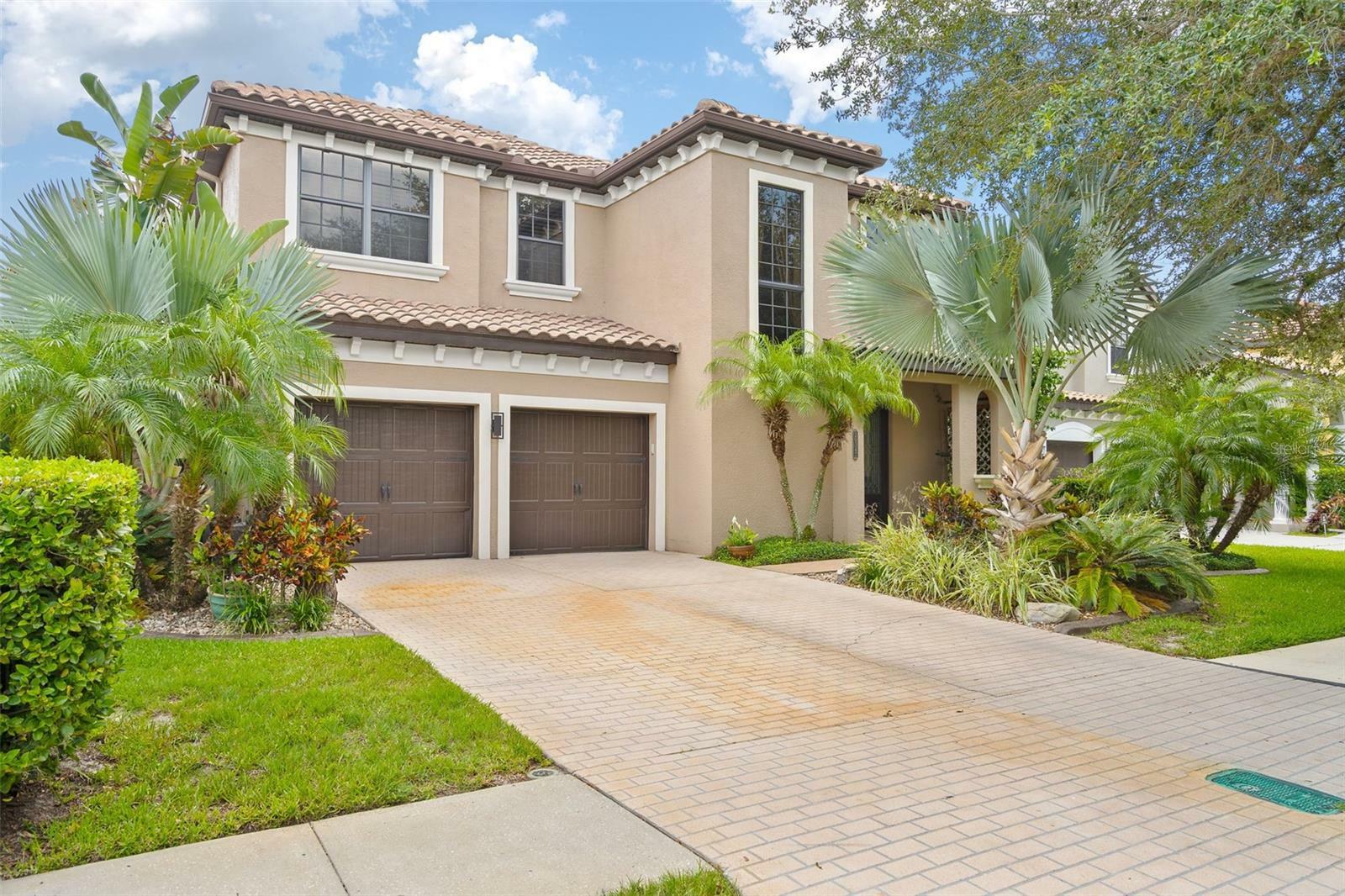 Property Photo:  20347 Chestnut Grove Drive  FL 33647 